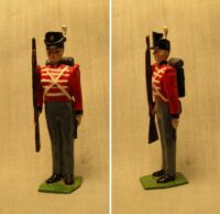 Waterloo Infantry with musket